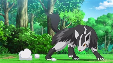 mightyena weakness|can poochyena learn cut.